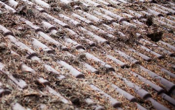 North Ascot roof cleaning companies