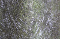 North Ascot fibreglass roof work